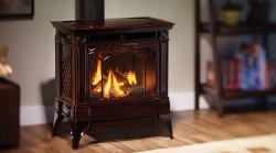 Gas Stove