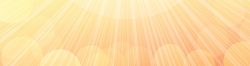 summer-slider3